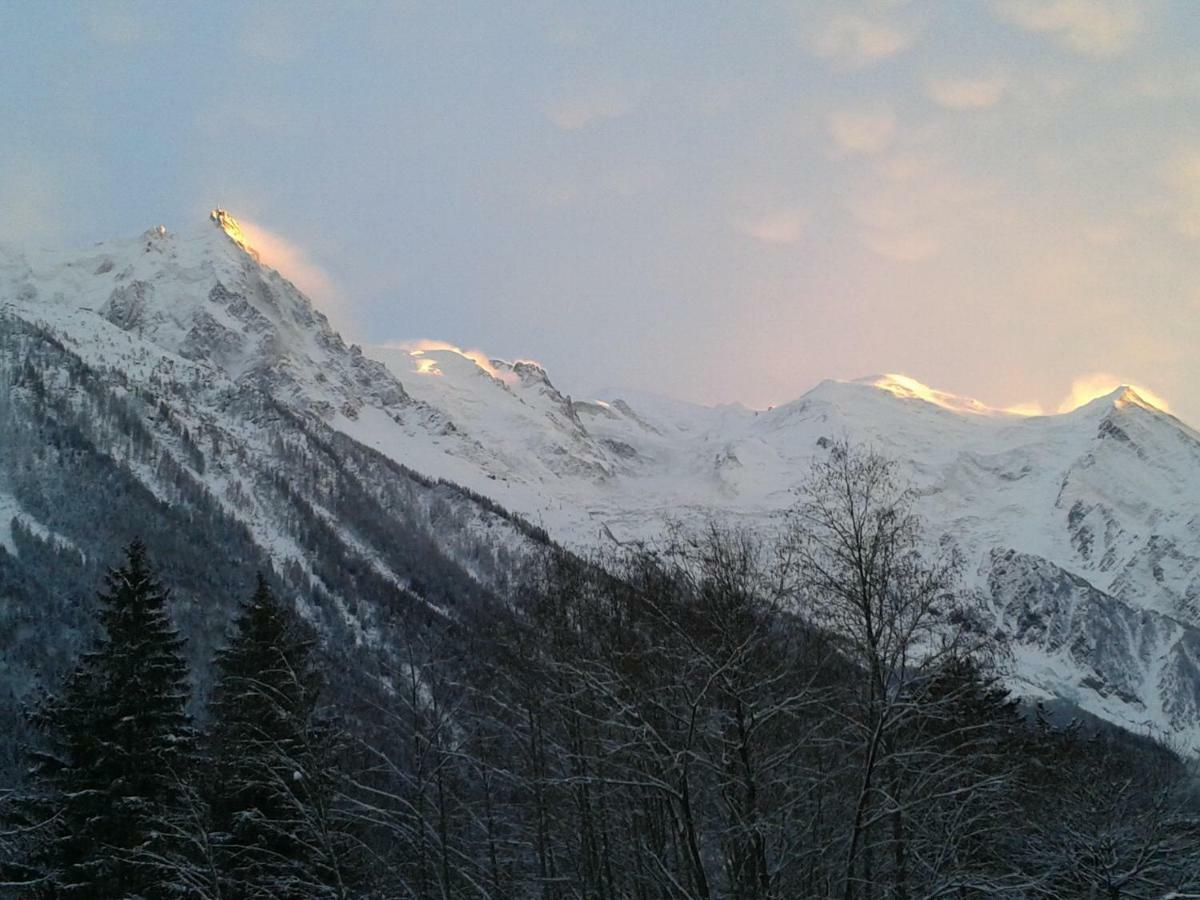 Appartement Capucine Chamonix Luaran gambar