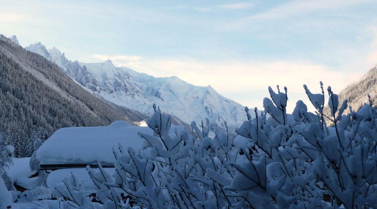 Appartement Capucine Chamonix Luaran gambar